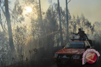 Selama Juli terdeteksi 14 titik api di Musirawas 