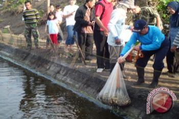 Produksi udang Kulon Progo capai 70 persen