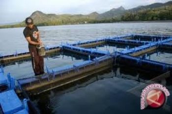 Kadinas Pariwisata sayangkan penambangan tambak udang pesisir 