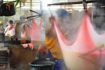 Pemerintah Diminta Dorong Peningkatan Produksi Kedelei