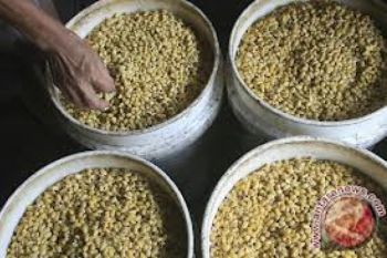 Pemerintah Dituntut Turunkan Harga Kedelai 