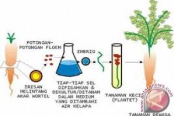 Pakar Bahas Inovasi Industri Hijau Bioteknologi di Lombok