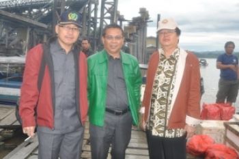 Dermaga Mangkrak