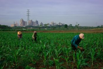 Semen Gresik Terus Terapkan Model 'Green Industry' 