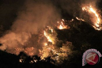 SAR Berupaya Kembali Evakuasi Pendaki Gunung Slamet