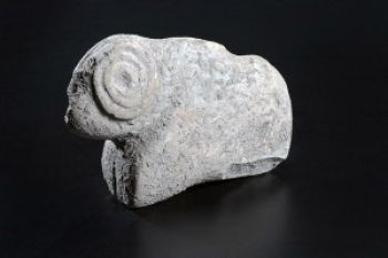 Arca Berusia 9.500 Tahun Ditemukan di Israel