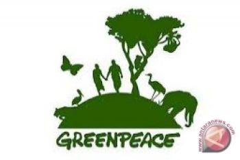 Greenpeace kembali tegaskan tidak anti-sawit