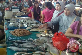 Pasokan Ikan Terbatas