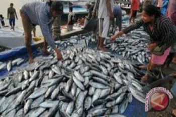 Jumlah Impor Tuna Relatif Kecil