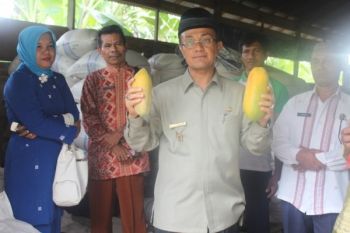 Bupati Agam Meninjau Kebutuhan Pokok
