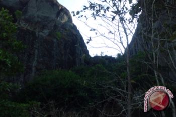 FMIPA UNY teliti kupu-kupu di gunung api 