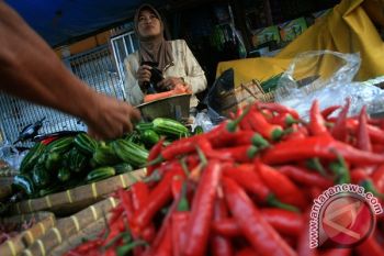 Harga cabe di Jayapura Rp100 ribu/kg 