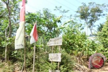 Gunung Kidul perluas area hortikultura 240 hektare