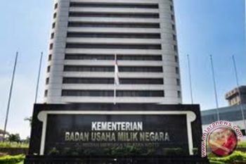 BUMN sulit menjadi pemain global