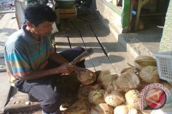 Penjualan Kelapa Parut Meningkat