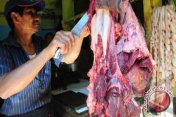 Sulteng Butuh Daging Sapi Capai 9.000 Ton 