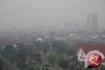 Polusi asap di Pekanbaru berkurang