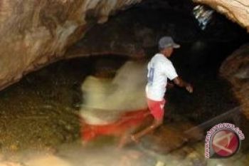 Peneliti Jepang kagumi keunikan gua harimau