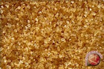 Kemendag-PTPN akan kerja sama oleh "raw sugar" 