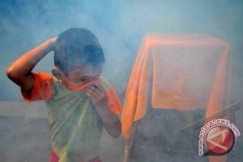 Pemkot Kendari Minta Warga Berantas Sarang Nyamuk