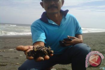 AL teliti dugaan pencemaran aspal Pantai Samas