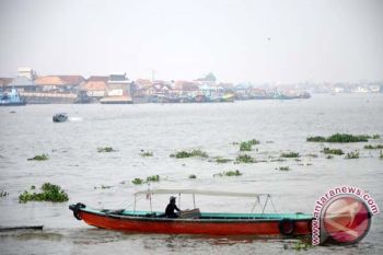 Sungai Musi belum bebas dari enceng gondok