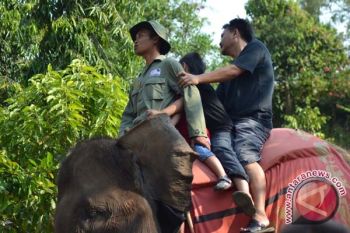 Belasan Ribu Wisatawan Kunjungi Bumi Kedaton