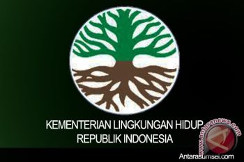 Rakoreg Sumatera perkuat basis data penanganan lingkungan