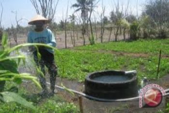 Petani pesisir temukan sistem irigasi kabut lahan pasir