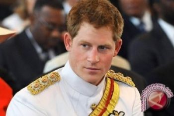 Cinta Pangarean Harry Kandas?