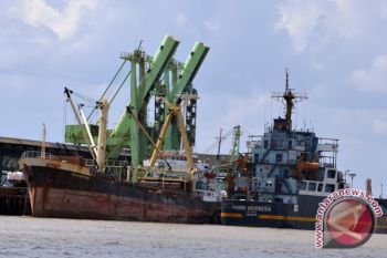Tanjung api api antara investasi dan regulasi 