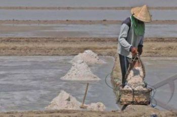 PRODUKSI GARAM