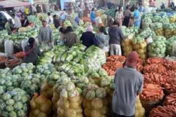 Harga Sayuran di Tingkat Petani Normal
