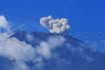 Hutan Lereng Gunung Slamet Terbakar