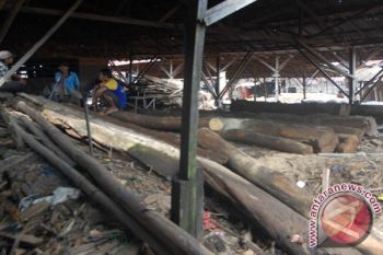 KAYU LOG LANGKA