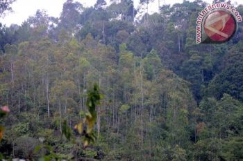 Hutan wisata