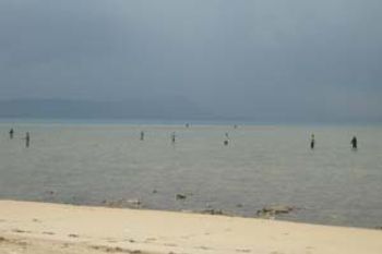 Musim Gurita, Masyarakat Ramai-ramai ke Pantai