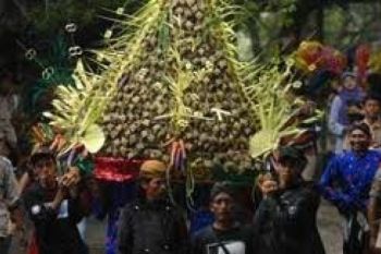 Petani Kopi Gelar Ritual Seribu Ketupat