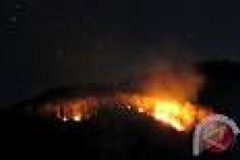 Hutan Lindung Gunung Sindoro Terbakar Lagi