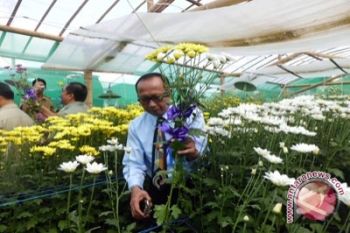 Samigaluh kembangkan kawasan wisata alam Suroyolo