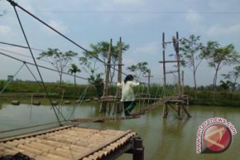 Pemuda Banjarasri kembangkan desa wisata alam 