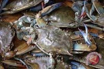 Rusia-Jepang Amankan Kepiting Laut