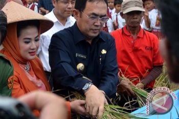 PDI Perjuangan pasang atribut di rumah kader 