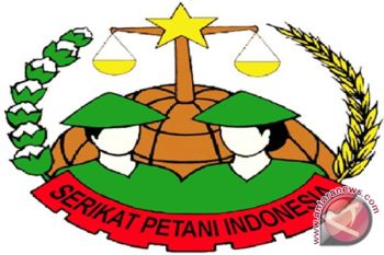 SPI usulkan tiga strategi wujudkan ketahanan pangan 