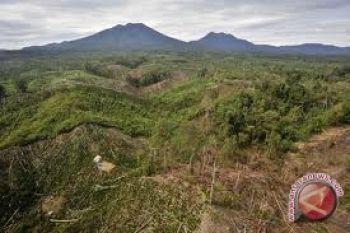 Lahan pertanian dan hutan Sumsel yang terancam 
