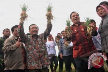 Mentan Minta Kepala Daerah Tidak Konversi Lahan
