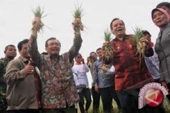 Petani Bolupoutu Kini Bisa Tersenyum 