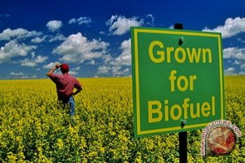 Biofuel potensial dikembangkan di Indonesia 