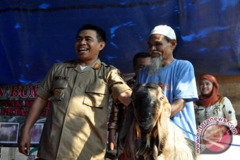 Pemkab Waykanan Ajak PNS Kembangkan Kambing Rakyat