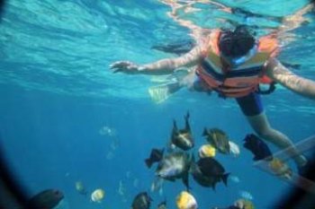 SNORKELING GILI TRAWANGAN
